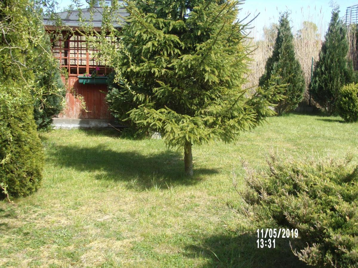 Villa Iwona Grzybowo  Buitenkant foto
